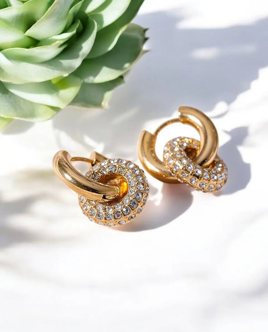 Gold hoop earrings with crystal details on a light surface with a succulent plant in the background
