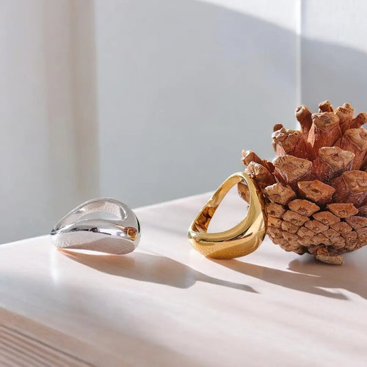 Two rings, one silver and one gold, on a textured surface with a pine cone.